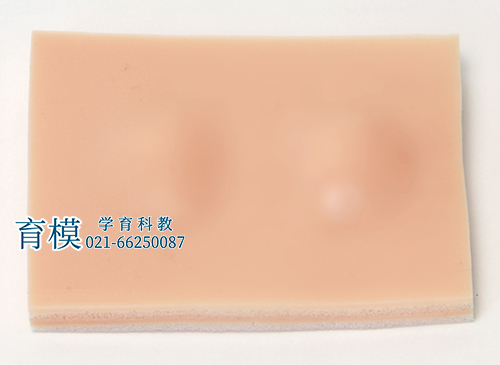 脂肪瘤切除术练习模块