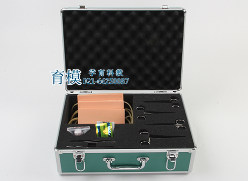 表面血管结扎止血模型