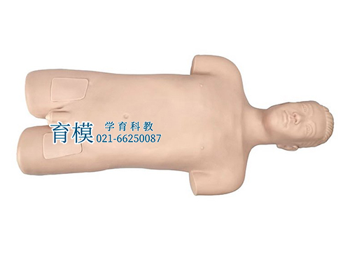 股动脉穿刺训练模型