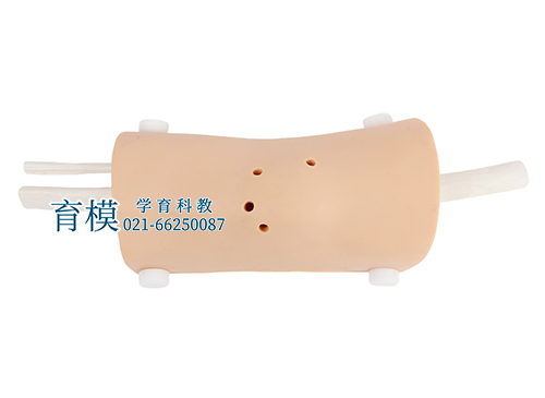 膝关节镜检查模型