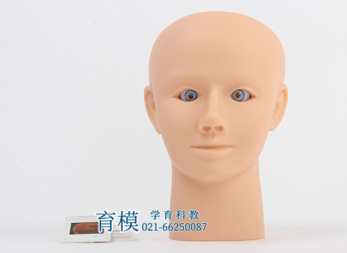 高级眼内视网膜病变检查模型