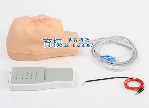 高级鼻腔出血模型