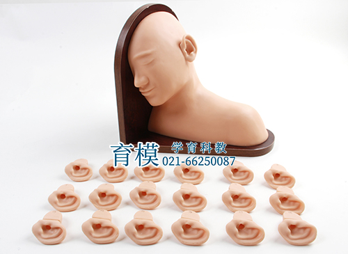 高级耳部检查模型