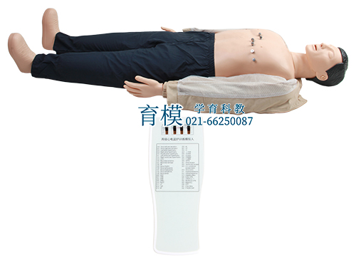 多种心电图电脑模拟人