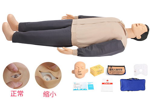 简易型心肺复苏模拟人