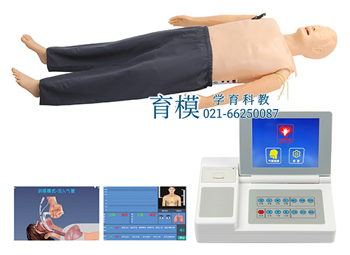 高级多功能急救训练模拟人（心肺复苏CPR与气管插管综合功能）