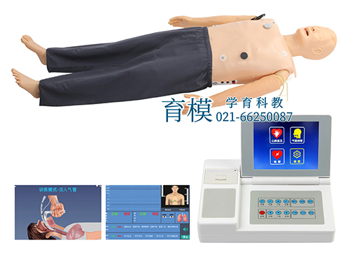 高级多功能成人综合急救训练模拟人