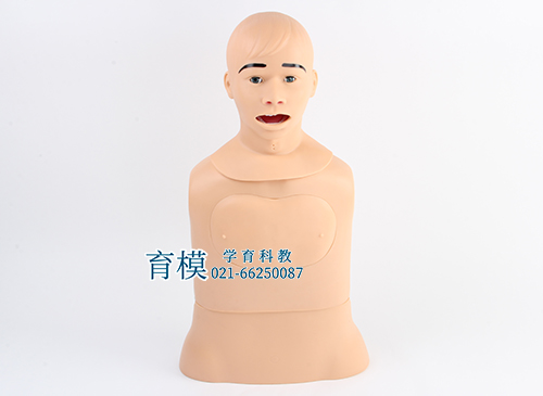 高级鼻饲管与气管护理模型