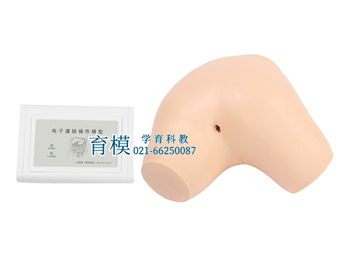 电子灌肠训练模型