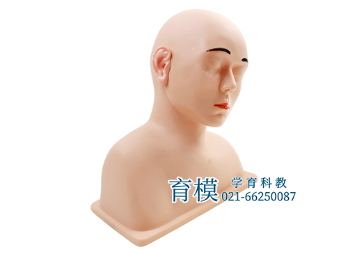 高级耳冲洗训练模型