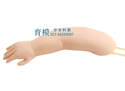 高级婴儿手臂静脉穿刺模型