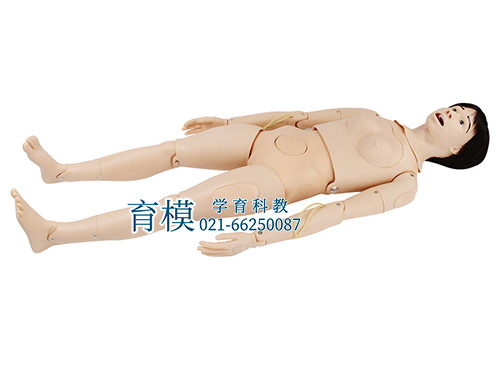 骨盆测量模型