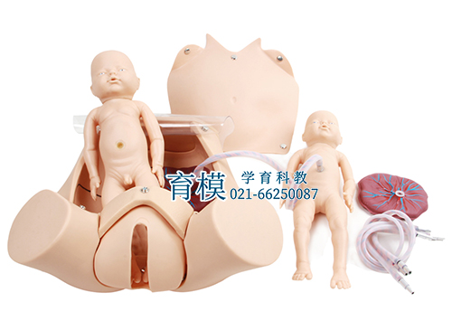 高级分娩综合技能训练模型