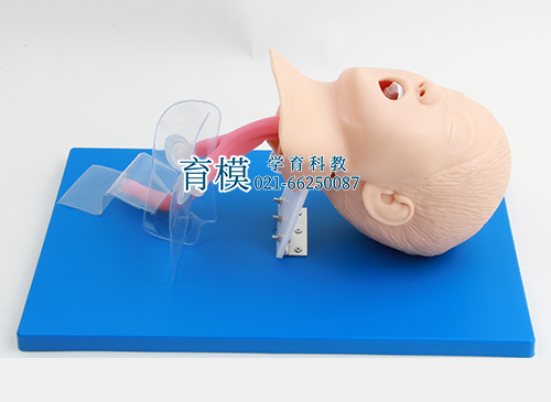 儿童气管插管人体模型