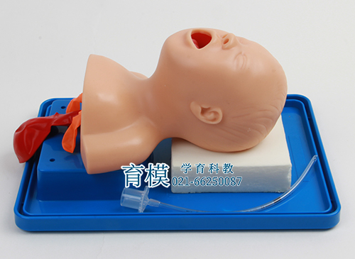 新生儿气管插管人体模型