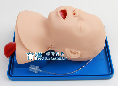 婴儿气管插管人体模型