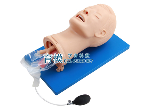 多功能气管插管人体模型