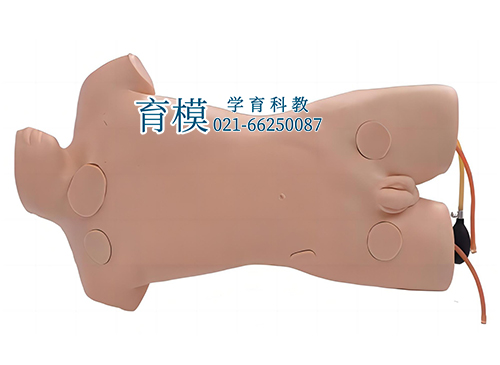 静脉穿刺模拟人