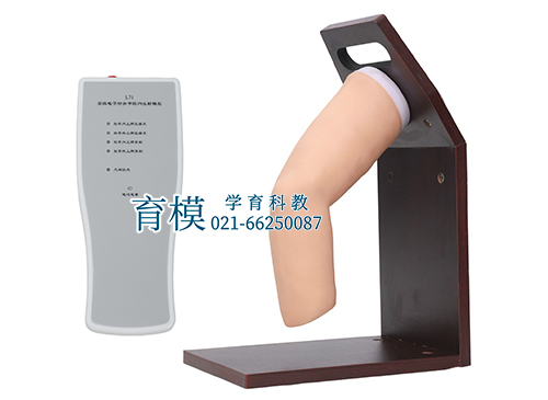肘关节腔内注射模型