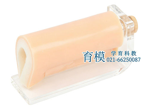 环形局部浸润麻醉训练模块