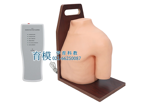 肩关节腔内注射模型