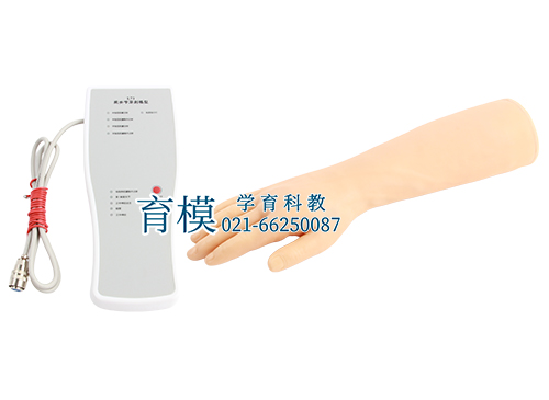 腕关节腔穿刺模型
